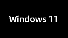 Windows 11 安装界面